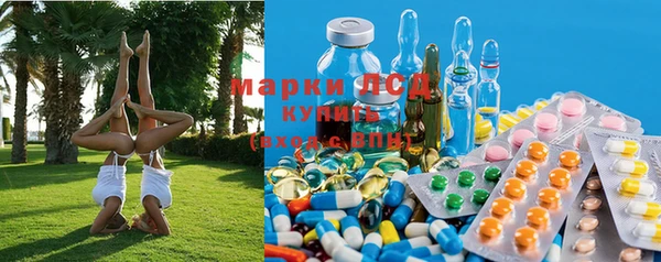 крисы Магас