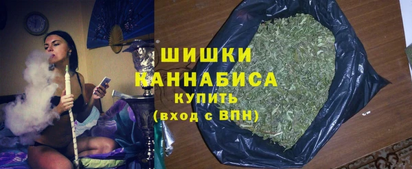 крисы Магас