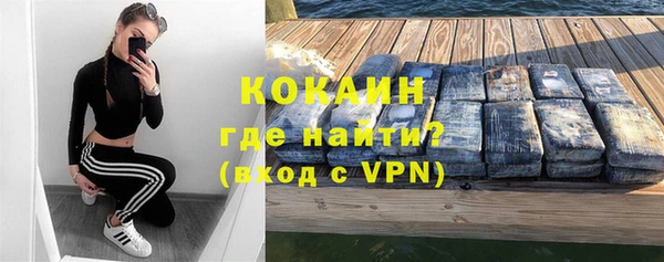 крисы Магас