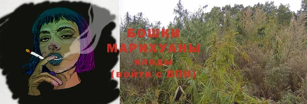крисы Магас