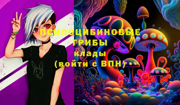 не бодяженный Магадан
