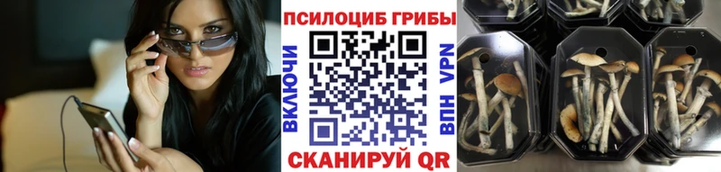 Псилоцибиновые грибы GOLDEN TEACHER  Монино 